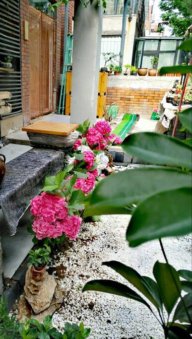 小院