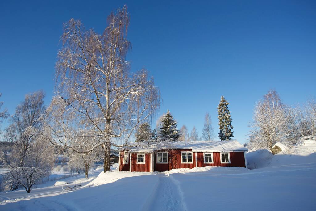 Wintertime