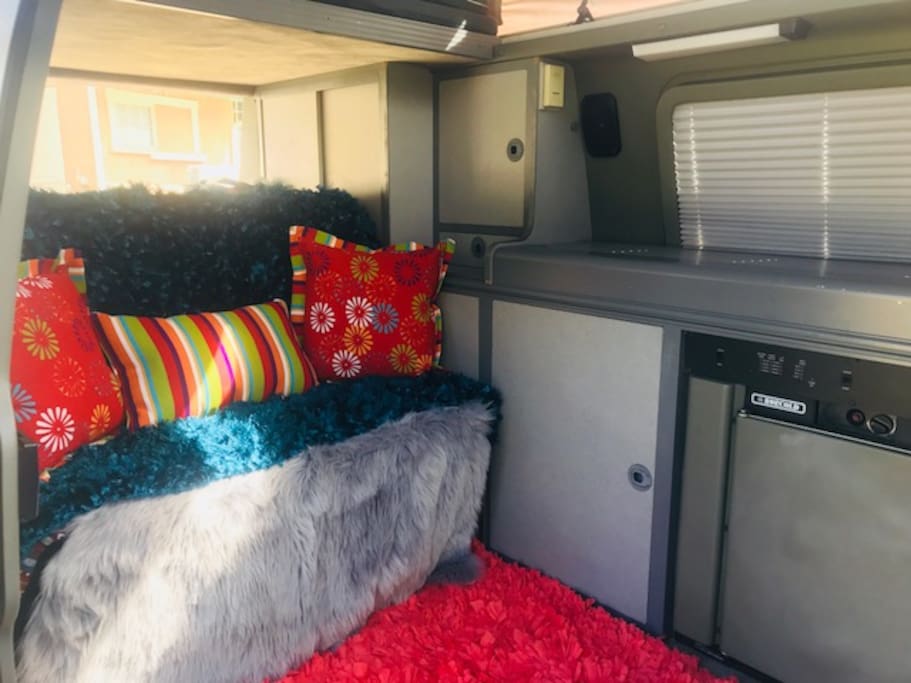 Retro-chic decor with brand new fuzzy shag rugs, bright, decorative furry throws and Sumbrella pillows