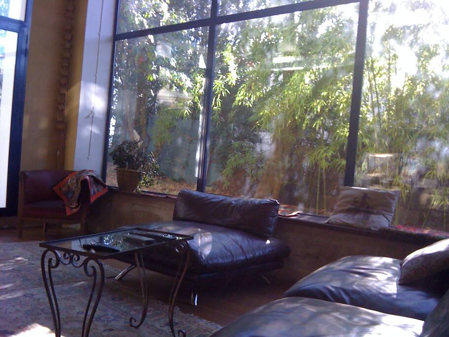 salon