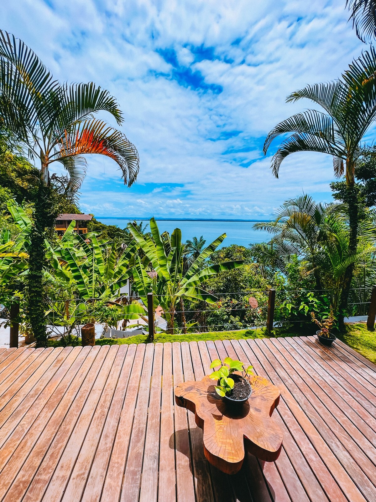 A wooden deck features a natural wood table with a potted plant. Lush greenery surrounds the area, creating a vibrant backdrop against the expansive ocean view and a partly cloudy sky. Palm trees gently frame the scene, enhancing the connection to nature.