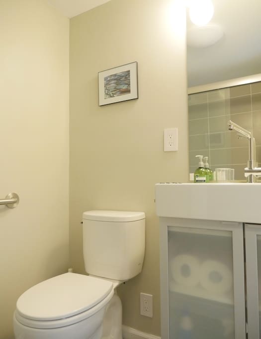 Newly added modern bathroom. We love clean, fresh design :-)