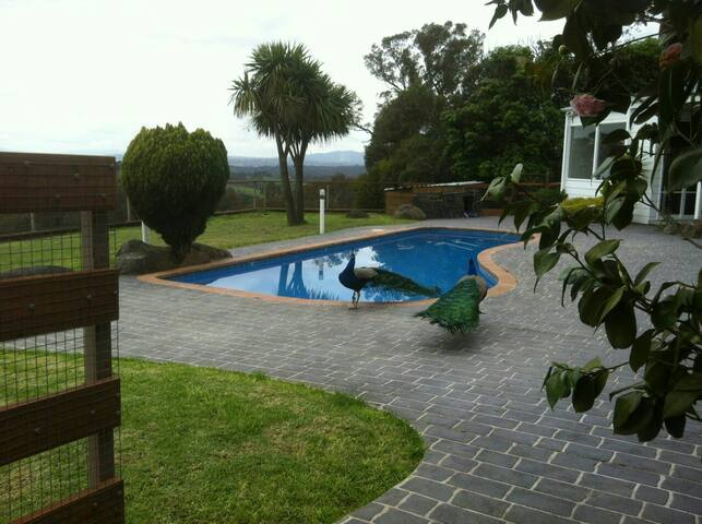 410 Kangaroo ground 15 , 20 people restaurant gallery image 5