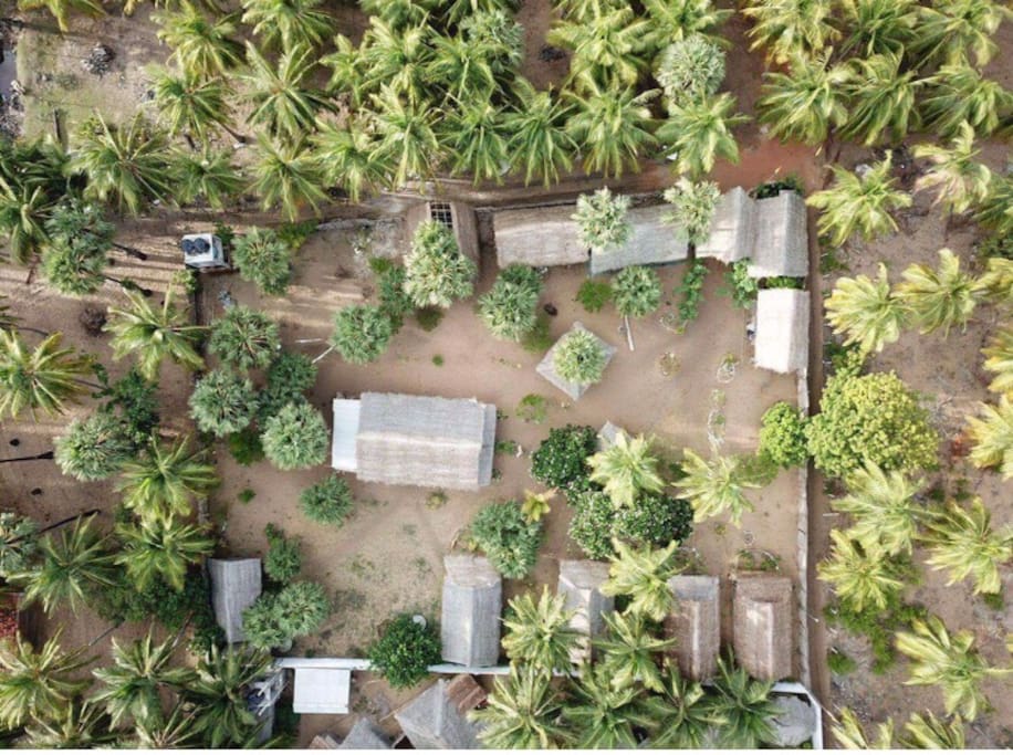 Birds eye view of our property nestled amongst the palms.