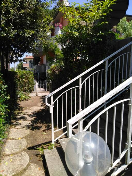 Ingresso