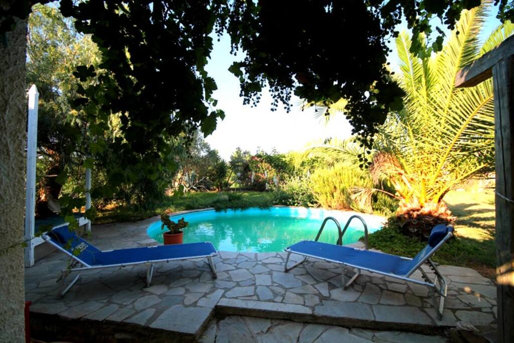 Relax by the pool!