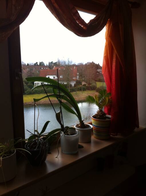 Ausblick aus dem Seezimer