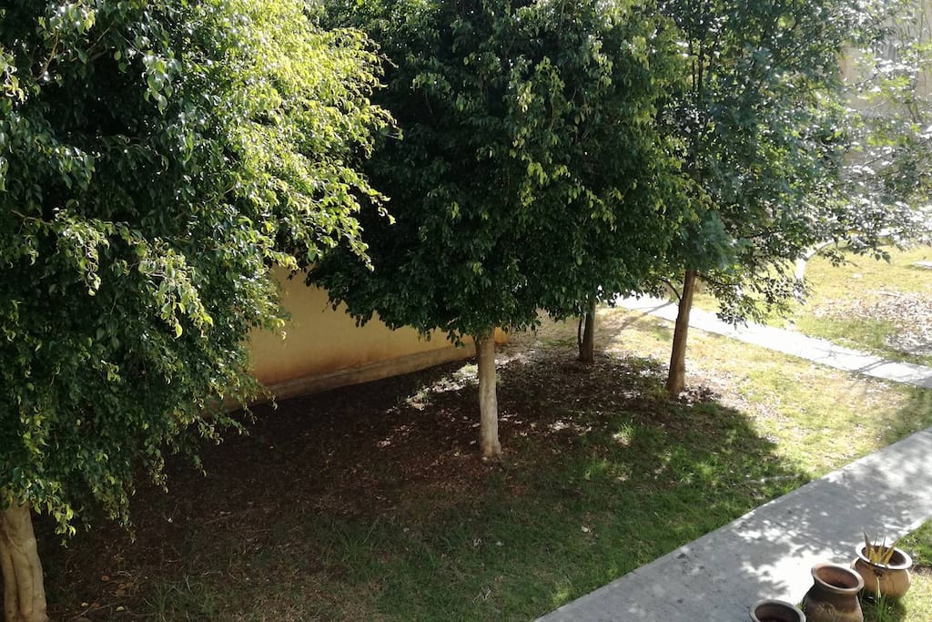 vista frente a la casa/the view in front of the house