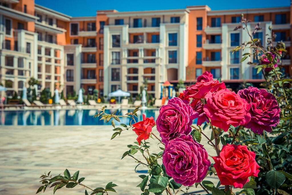Roses at the complex