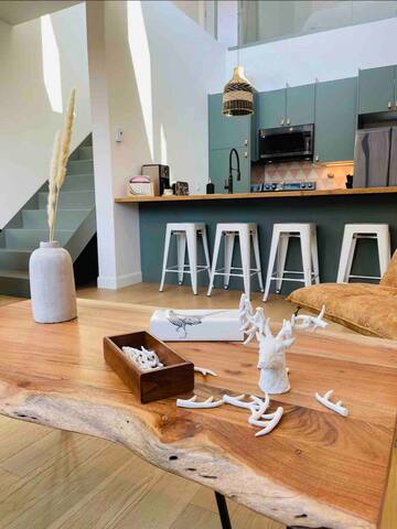 NEW condo with Mezzanine & Rooftop !