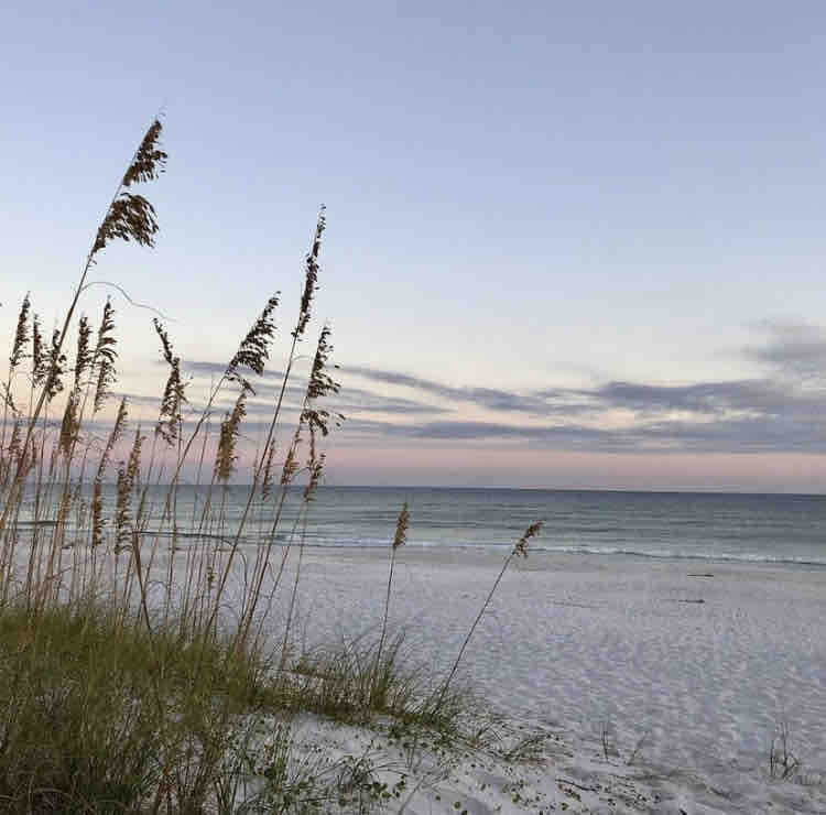 A view of a beachfront at dusk shows gentle waves lapping against the shore. Tall grasses sway in the foreground, while the colorful sky transitions from soft pastels to deeper tones, reflecting the approaching evening.