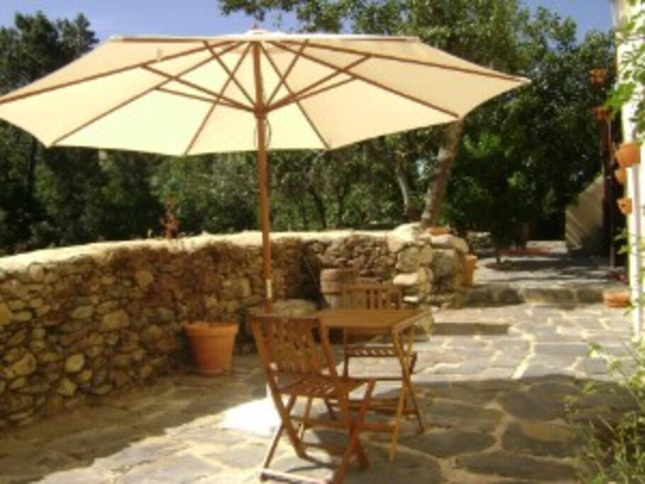Terras