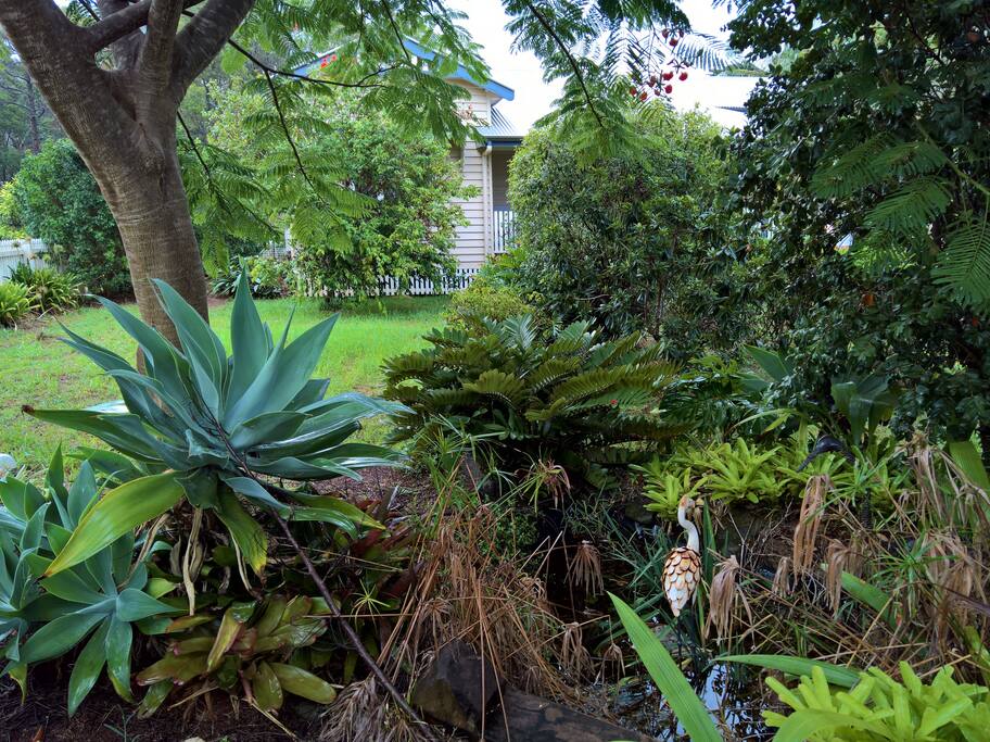 Garden