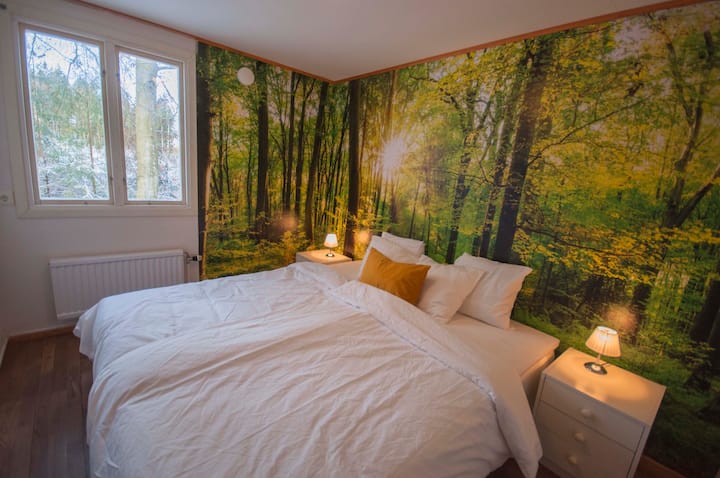 Bedroom nr 4. The "Beech woods room. 