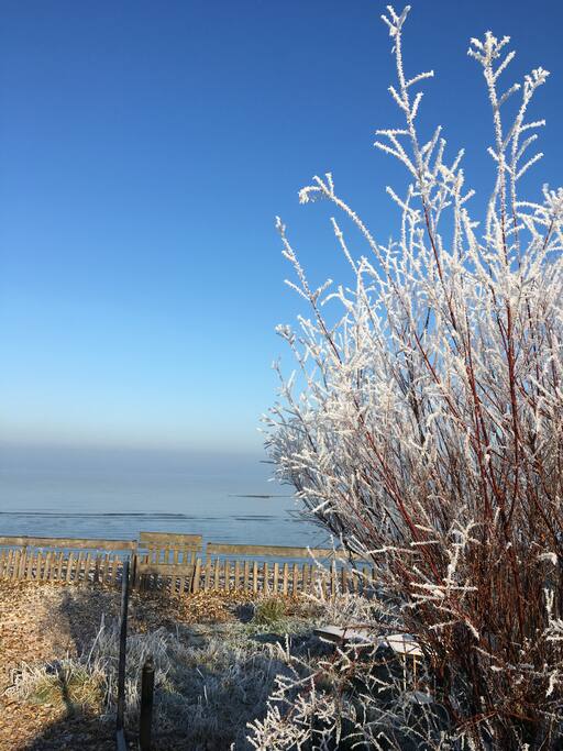 A hard frost.