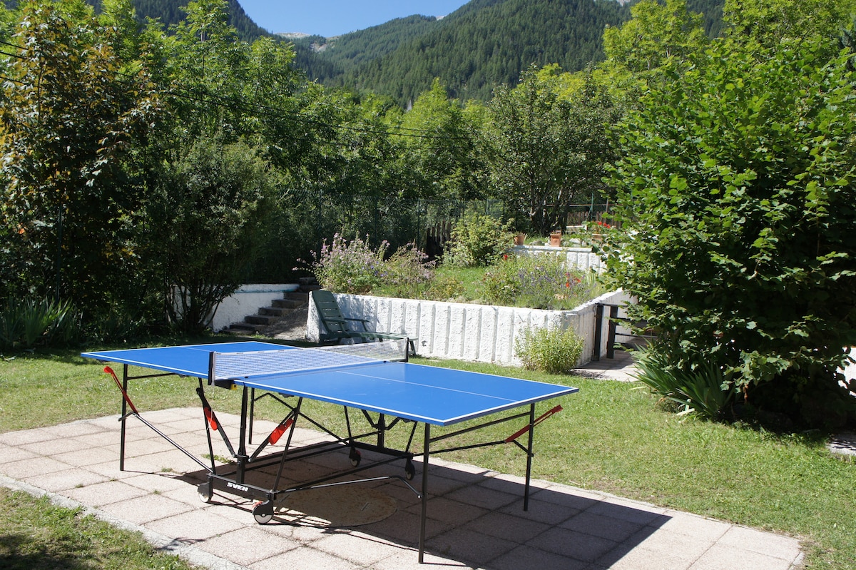 A blue ping-pong table is positioned on a stone patio surrounded by lush greenery. The table is set against a backdrop of trees and mountains, offering a serene outdoor environment. The garden is well-maintained with a mix of plants and shrubs, creating an inviting space.