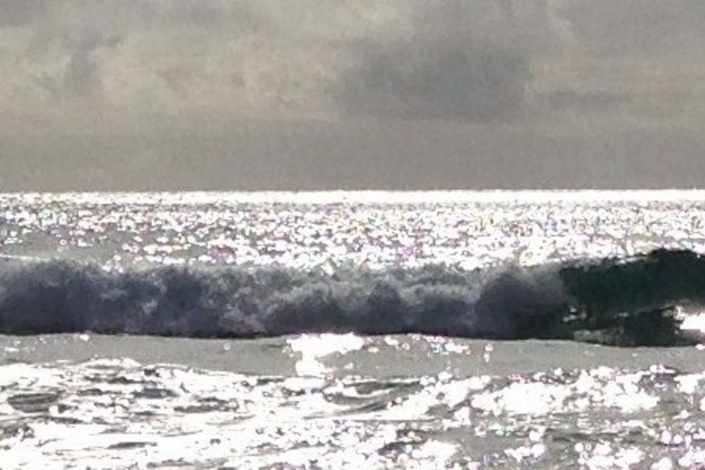 Wild Romantic Atlantic Way