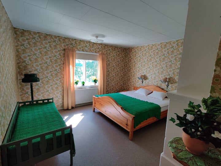 1号卧室有新的地毯。