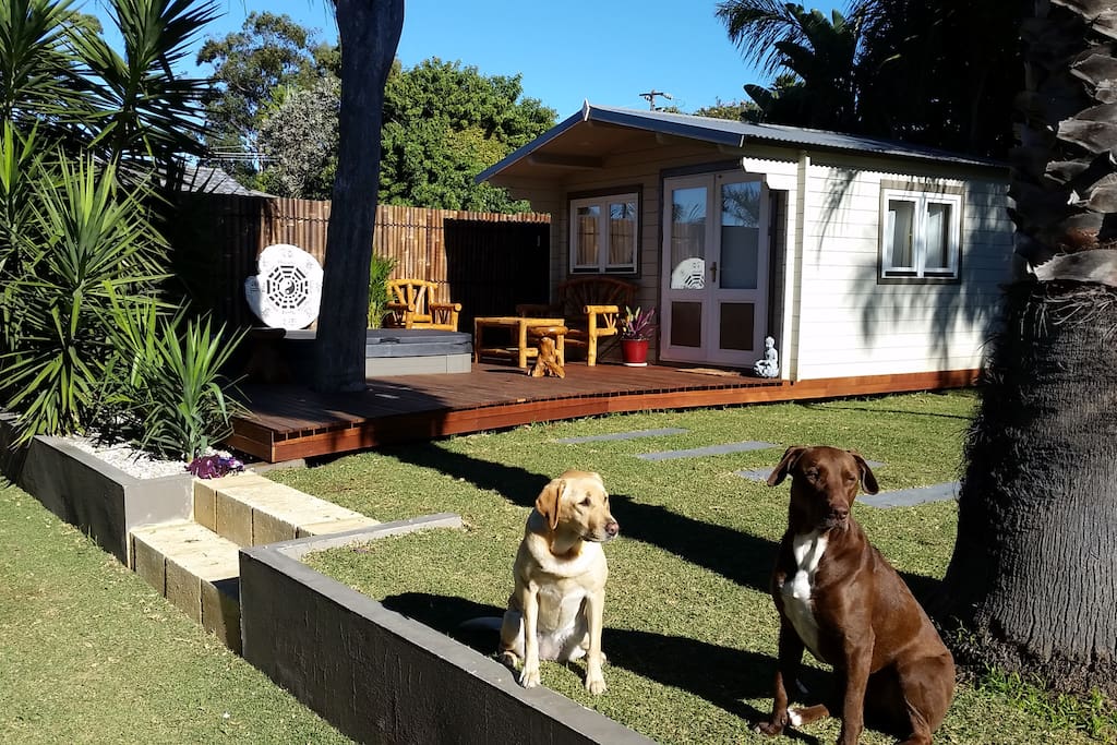 Walking towards the cabin from your private entrance (dogs to greet you).