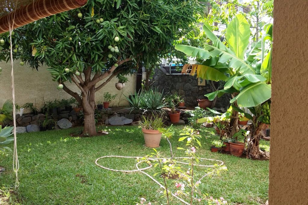 Jardin depuis la terrasse 1.