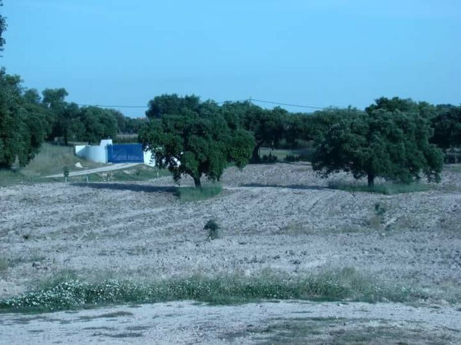 Vista Terreno