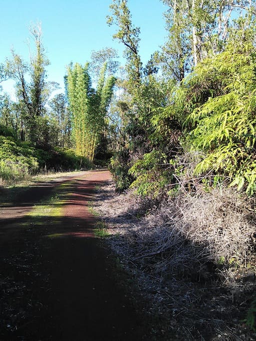 my driveway