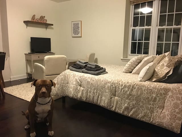 DOWNTOWN! Seconds from it all!