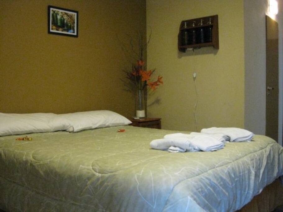 Bañera, mesa de trabajo y silla. Aire acondicionado calefacción e Internet WI FI. Ropa de cama, toallones, jabon, shampoo y amenities incluidos/ Siphons: Bathtub, work table and chair. Air conditioning heating and Internet WI FI.
