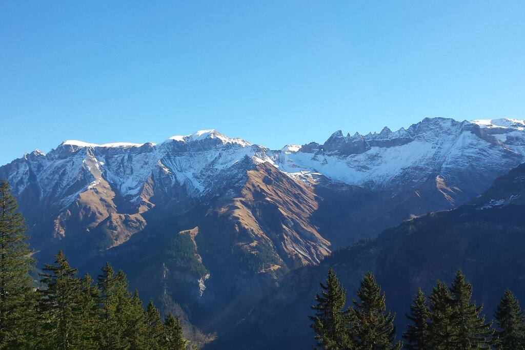 Blick vom Haus aus