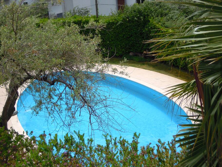 Piscina - Swimming pool