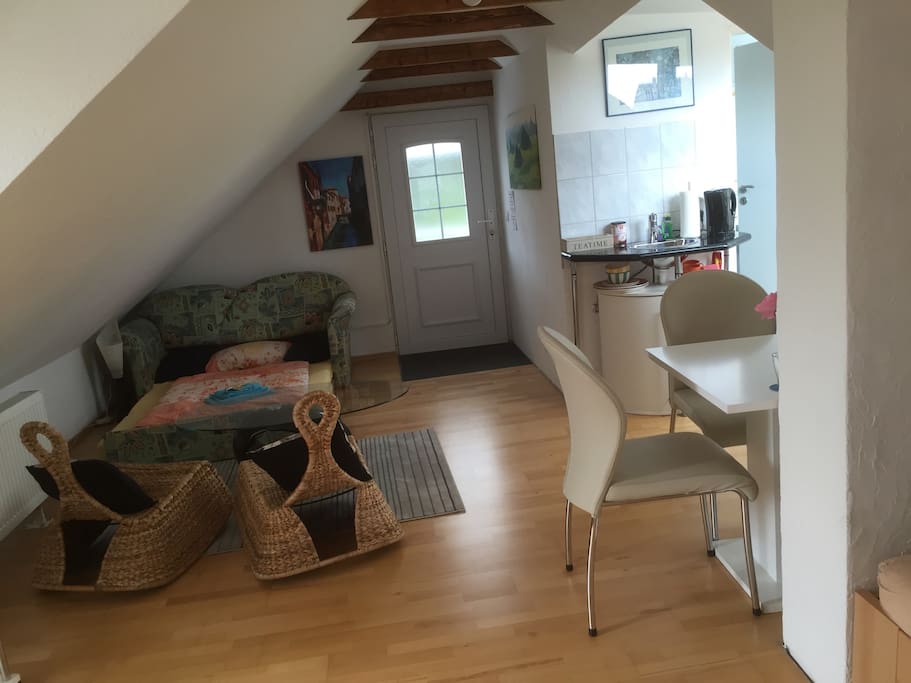 Wohnbereich mit Schlafsofa, Ansicht zur Eingangstür.