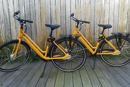 Bamboo room + 2 bicycles : +500 positive reviews