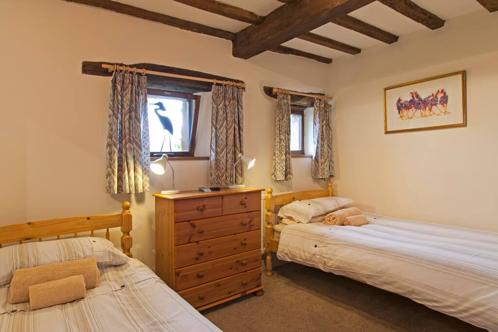 Downstairs twin bedroom