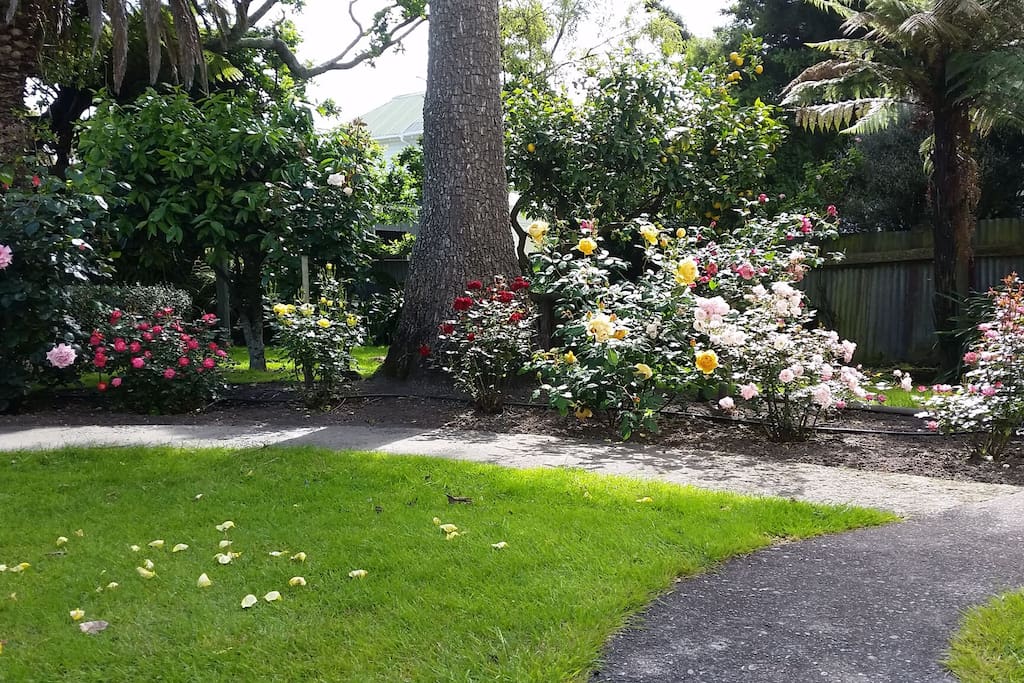 Rose Garden
