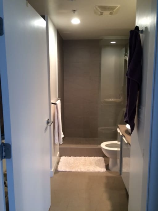 Large stand up shower and separate bathtub