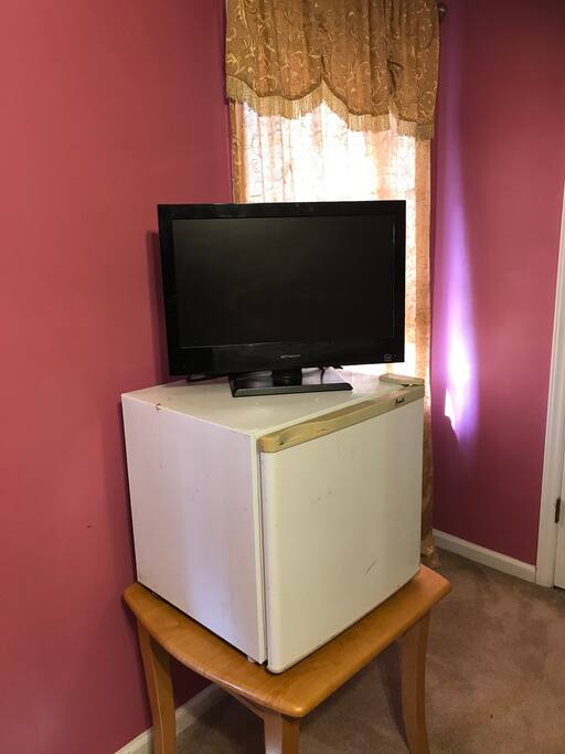 Television and mini-fridge in room