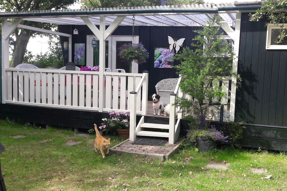 A charming black wooden house features a covered veranda adorned with potted plants. Two pets, a dog and a cat, are seen on the steps and grass, while comfortable seating is arranged on the deck, inviting relaxation in a serene outdoor setting.