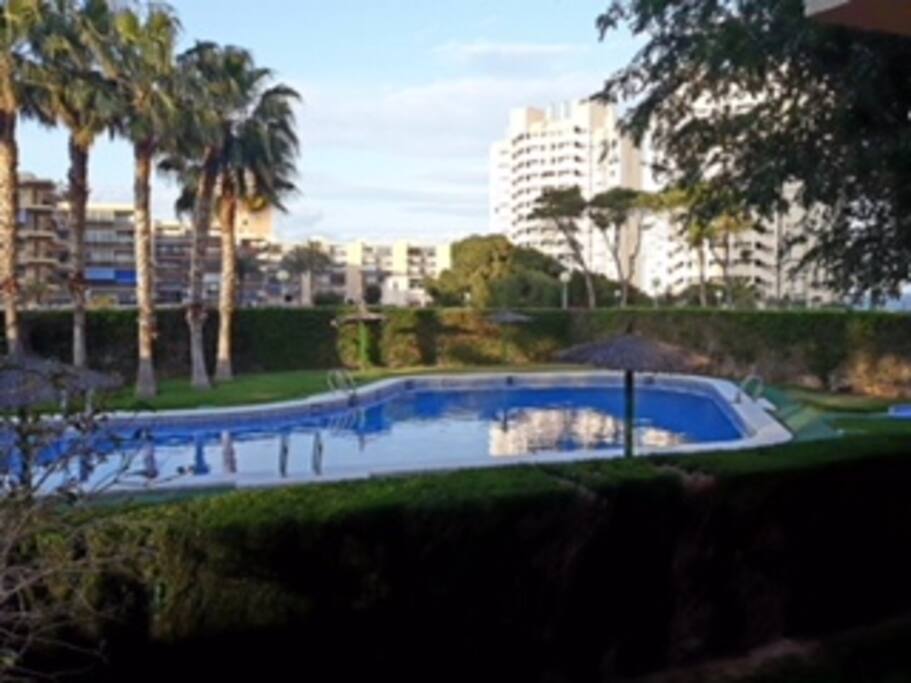 piscina