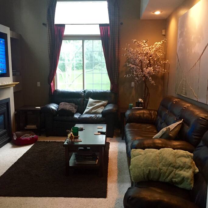 Comfortable living room with two couches (large couch is very comfortable to sleep on), lazy boy, fire place and 56 inch TV