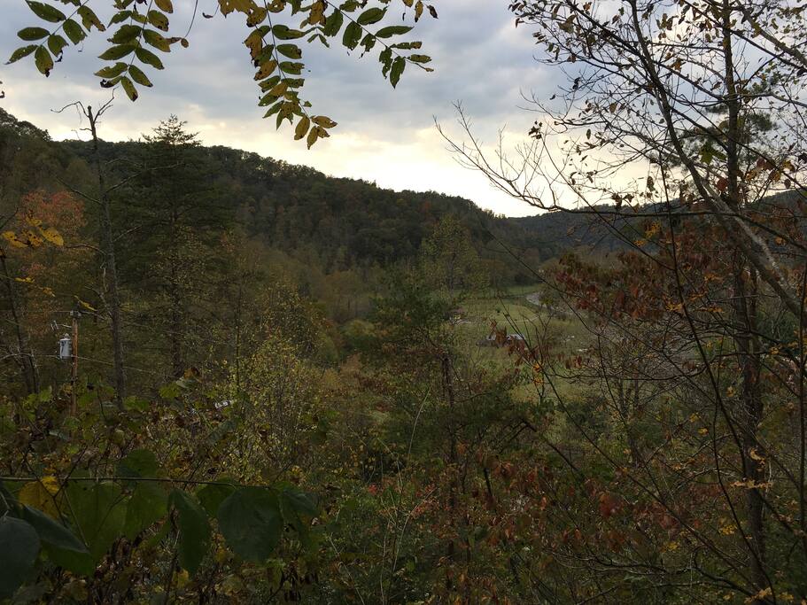 View from front deck