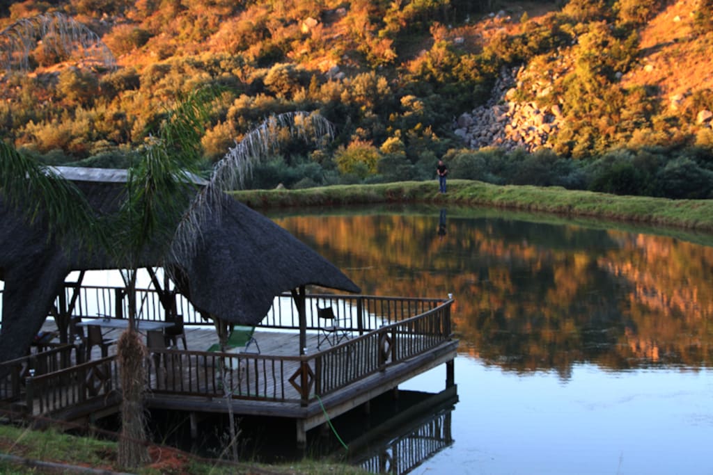 deck in pond
