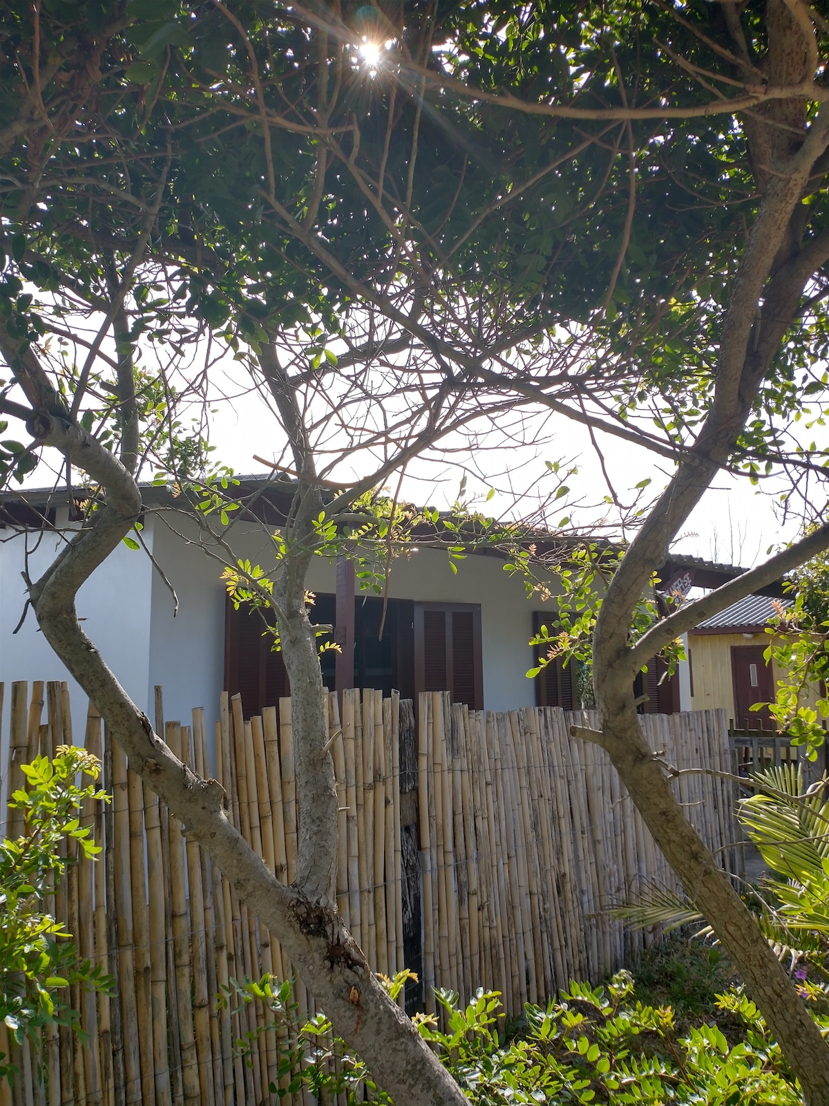 A charming exterior view of the house is framed by lush greenery and bamboo fencing. Natural light filters through the trees, casting gentle shadows on the walls. Windows with wooden shutters offer a peek into the inviting space within.