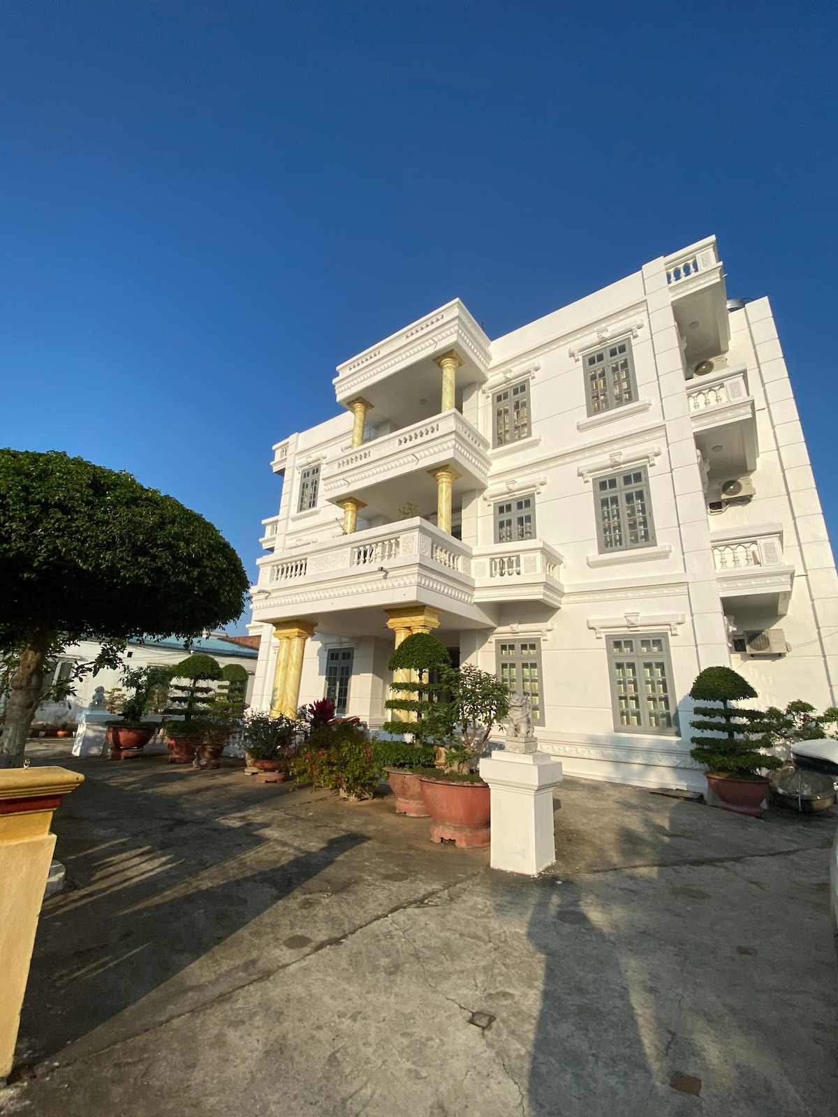 A three-story white building with elegant architectural details is featured. Balconies are adorned with decorative columns, and lush greenery in potted plants surrounds the entrance. Clear blue skies provide a bright backdrop, highlighting the clean lines of the structure.