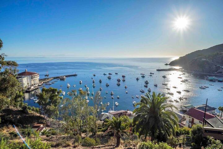 Penthouse Atop of Avalon with Panoramic View gallery image 4