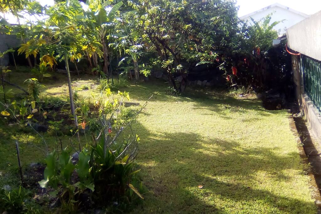 jardin derrière la maison