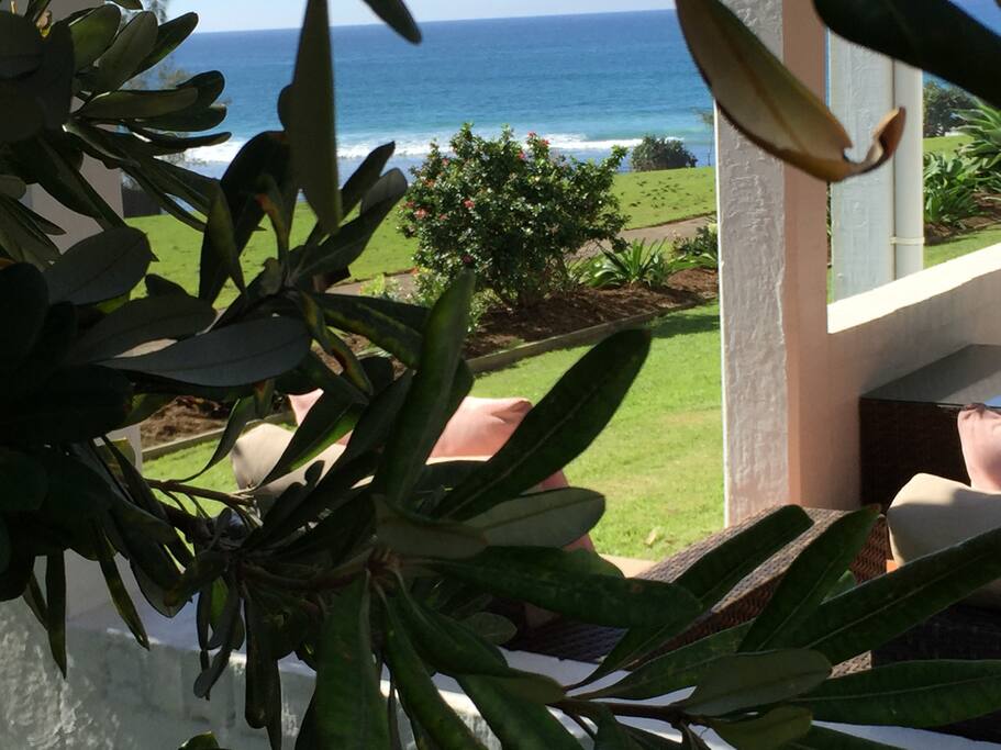 The view from the front verandah