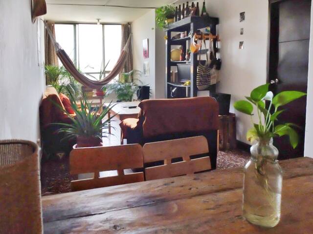 COSY APARTMENT in the historical center :-)