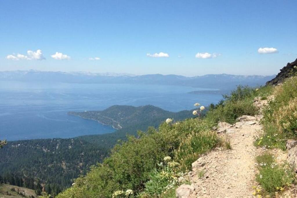 Lake Tahoe has so much to offer year round !