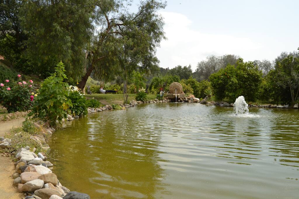 El lago de la Moraleda