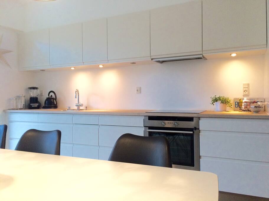 Modern kitchen with everything included